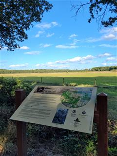 20211004 170221 Mobile